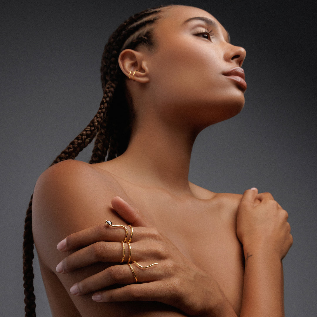 Set of rings "snake"